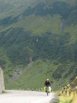 170 SERPENTYNY TRANSFOGARASKIE